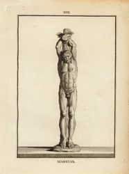 Estátua do sátiro Marsyas recebendo o castigo de Apolo, esfolado vivo