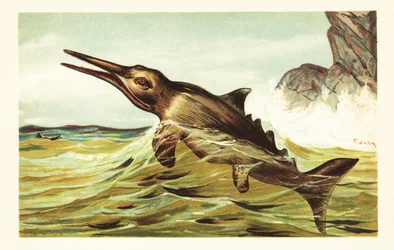 Stenopterygius quadriscissus, extinto ictiossauro. 1908 (litografia)