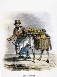 O Pannier
