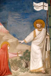 A Capela Scrovegni. Fresco de Giotto