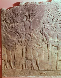 O Cerco de Alammu pelo exército de Sennacherib (704-681 AC) detalhe de um painel do Palácio Sudoeste de Nineveh, c.700 AC (gypsum) (ver também 85705)