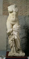A Afrodita Sinuessa (mármore)