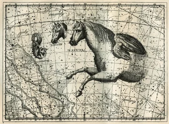 A constelação de Pegase, desenha como a metade anteriora de um cavalo com um par de asas, o Cavalinho, a cabeça de um cavalo e o Golfinho. Gravura de "Les étoiles et les autres curiosites du ciel" de Camille Flammarion