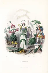 As taxas florais, a da oliveira, dormindo num gorro de algodão, a beleza nocturna, a imortela com uma coroa e uma aureola de serpente, a murta num velho, o tabaco fumando o charuto e o louro num velho mosqueteiro - Eau forte de Charles Geoffroy (181