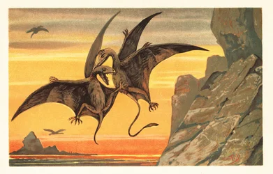 Dois pterodáctilos lutando em pleno vôo contra um céu carmesim.1908 (litografia)