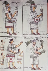 Tzapotlatena, Chalchiuhtlatonal, Cioapipitli e Tliltecuhtli, Códice Florentino, Versão bilingue em espanhol e Nahuatl, História Geral das Coisas da Nova Espanha (Historia general de las cosas de Nueva Espana), Asteca
