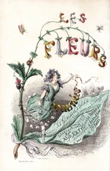Une fee des fleurs setient sur une feuille et holds un ruban (página de rosto) - Gravura de Charles Geoffroy (1819-1882), a partir de uma ilustração de Jean Ignace Isidore Gerard dit J.J.J.Granville (1803-1847), para Les fleurs animees