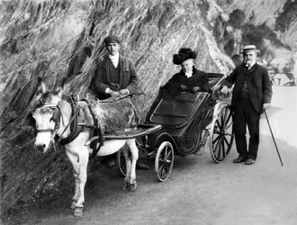 Reino Unido : Um transporte inválido puxado por um burro. 1906