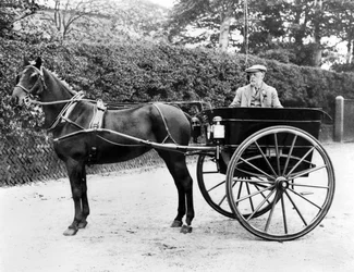 Reino Unido : A Horse and Trap. c1905