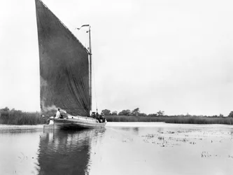 Reino Unido : A Wherry on the River Bure, perto de Ranworth. Norfolk Broads,