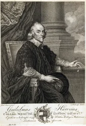 William Harvey, médico inglês