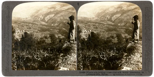 Uma plantação de bicho-da-seda nas montanhas do Líbano, Síria, em 1900.