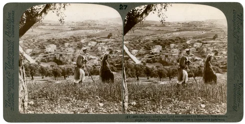Betânia, vista da encosta oriental do Monte das Oliveiras, Palestina, 1899.