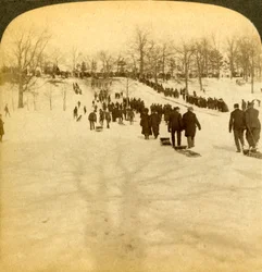 Esportes de inverno canadenses - tobogã, 1905.