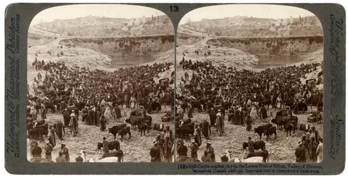 Dia do mercado de gado, na piscina inferior de Gihon, vale de Hinnom, Jerusalém, Palestina, 1900.