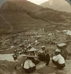 Dragando um leito de rio para rubis, Mogok, Birmânia, c1900s.