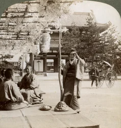 Cachos caídos de glicínias sobre uma varanda de casa de chá, Kyoto, Japão, 1904