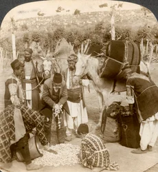 Especialistas que compram casulos de seda, para exportação para França, Antioquia, Síria, década de 1900.
