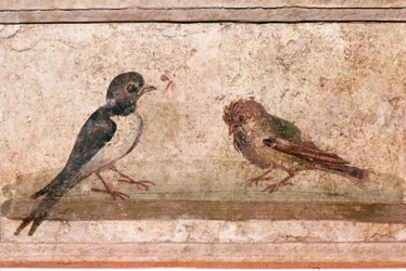 Andorinha e pardal, pintura mural romana de Boscoreale, perto de Pompeia, século I