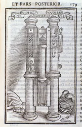 Um Phagotus (Phagotum). Página de Introductio de Theseus Ambrosius Albonesius