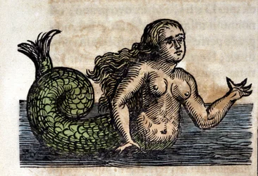 Uma sereia, personagem lendária - gravura de uma obra de Athanasius Kircher (1601 - 1680), jesuíta, orientalista e erudito alemão