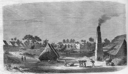Uma fábrica de doces na ilha de Cuba, em 1869.