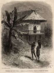 Um casal de índios de Rio Verde (Brasil), o homem com seu sarbacan, em frente a uma casa típica em palafitas. Gravura para ilustrar a viagem a Nova Granada, pelo Dr. Saffray, em 1869, publicada em "Le tour du monde" 1873, editada por Edouard Charton, e