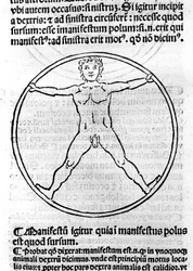 Uma página de "Philosophiae Pauperum" de São Alberto o Grande (= Albert Magnus 1206 - 1280). Ilustração que representa um homem em círculo. Brescia 1493