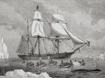 Um baleeiro com barco rápido para um 