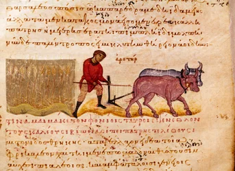 Agricultura: cena da lavoura. Miniatura do comércio de caça "The Cynegetics" de Oppian (Oppian ou Oppianus) da Síria (século III d.C.) dedicada a Caracalla. Veneza do século XI. Biblioteca Marciana