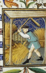 Representação alegórica do mês de Agosto. Um camponês que bate no trigo. Miniatura de um manuscrito do século XIV.