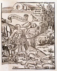 Alegoria da lógica da filosofia de Margarita por Gregor Reisch (1508)