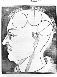 Aristotelis libri IV de coelo et mundo Cum Expositione S.Thomae de Aquino et Cum Additione Petri Alverniae. Este é o livro de Aristóteles com o comentário de São Tomás de Aquino com uma explicação adicional de Pedro de Álvernia. Veneza, edição de 1495