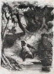 Astolphe na beira de uma fonte - gravura de 1851 de "Furious Roland" (Orlando furioso) (século XVI) de Ludovico Ariosto, conhecido como Ariosta - Edição traduzida do italiano pelo Conde de Tressan e publicada por Gustave Harvard 1851