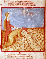 Na entrada do Paraíso, Dante encontra Mathelda, e bebe água do rio Eunoe, o que faz a memória das coisas boas realizadas. Página iluminada ilustrando uma canção do Paraíso da "Divina Commedia" de Dante Alighieri (1265-1321). 14º c