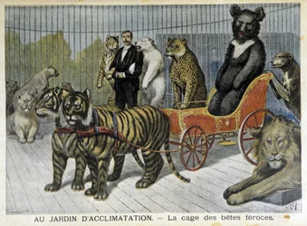No jardim da aclimatação: a gaiola dos animais ferozes - no "Le Petite Journal" de 02/06/1895