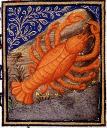 Cancro. Miniatura de um horóscopo. Manuscrito do século XV. Bíblia. Trivulziana, Milão.