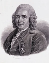 Carl Von Linné, naturalista e escritor sueco (1707 - 1778) - em "Retrato de homens úteis".