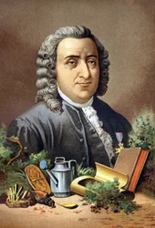 Carl Von Linné naturalista e escritor sueco (1707 - 1778) depois de "La Ciencia y sus Hombres" de Louis Figuier. Barcelona 1881