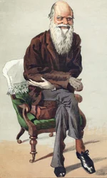 Charles Darwin (1809 - 1882), ilustração na "Vanity Fair" de 30 de Setembro