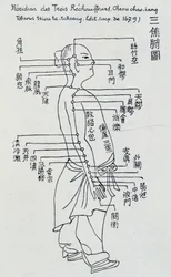 Acupunctura chinesa: o meridiano dos três aquecedores