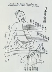 Acupunctura chinesa: o meridiano dos rins