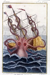 Polvo colossal (polvo, lula-gigante, kraken) a atacar um navio - gravura do livro de Pierre Denys-Montfort (Denys de Montfort 1766-1820) «Histoire naturelle des mollusques», edição original de 1802