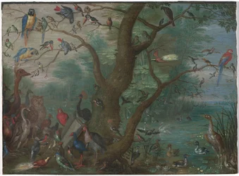 Concerto de pássaros