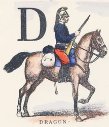 D: dragão