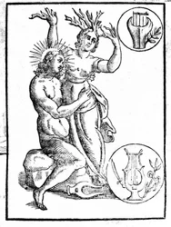 Daphne perseguida por Apollo é transformada em louro - Gravura em Natalis Comitis "Mythologiae sive explicationis fabularum..." Patavia