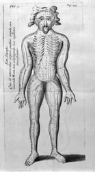 De Acupunctura, de W.Ten Rhijne. Londres, 1683. Primeiro texto ocidental que trata da Acupuntura.