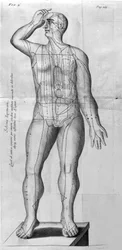 De Acupunctura, de W.Ten Rhijne. Londres, 1683. Primeiro texto ocidental que trata da Acupuntura.