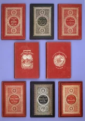 Capas diferentes dos livros de Jules Verne publicados nas edições de Hetzel. Coleção da biblioteca de Verne. Paris.