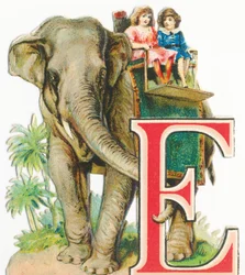 E: Elefante